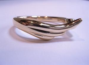 fujimotowr1.jpg